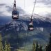 Whistler